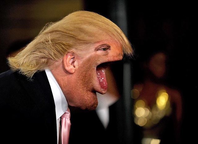 トランプ大統領のコラ画像