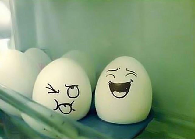 冷蔵庫の卵の遊び 卵アート【エッグアート画像】