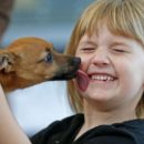 ヘロイン中毒の子犬が保護され新たな飼い主、少女と出会う【全米が感銘】