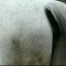 馬のオナラは凄まじく細長いジャッカス動画