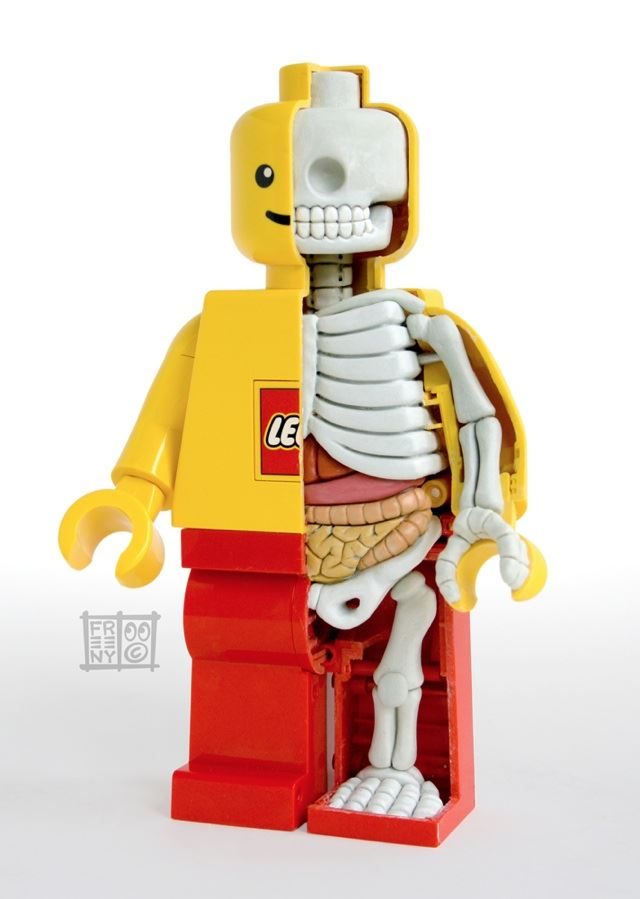 レゴのジャンボフィグの人体模型で解剖学を学ぶレゴフィギュア Lego anatomy