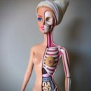バービー人形の人体模型で解剖学を学ぶ。【バービー人形を改造】